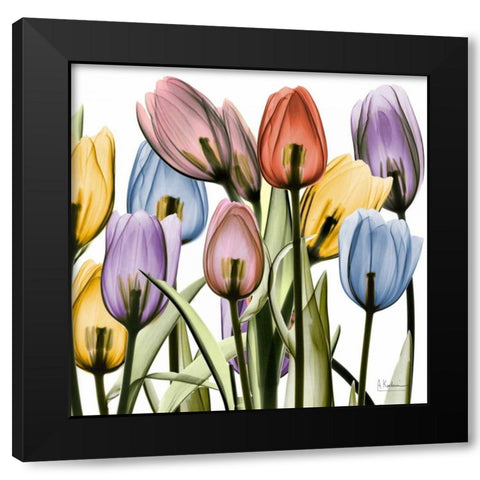 Tulipscape Black Modern Wood Framed Art Print by Koetsier, Albert