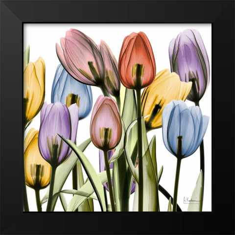 Tulipscape Black Modern Wood Framed Art Print by Koetsier, Albert