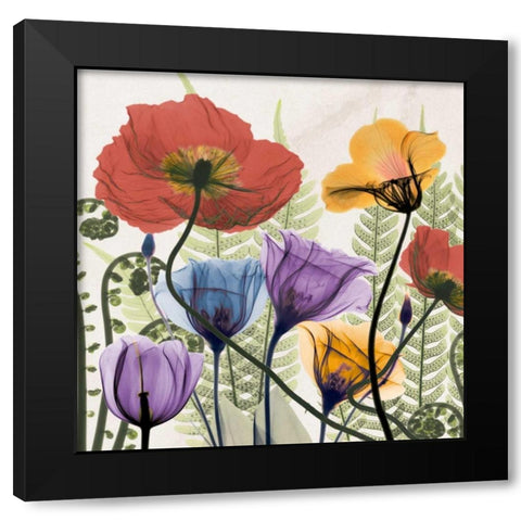 Flowers And Ferns Black Modern Wood Framed Art Print by Koetsier, Albert