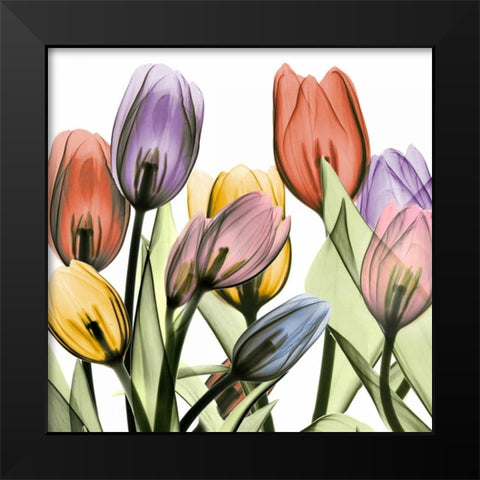 Tulipscape 2 Black Modern Wood Framed Art Print by Koetsier, Albert