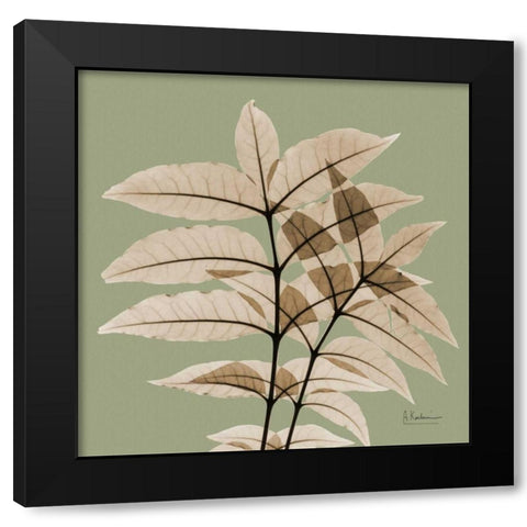 Tree Of Heaven Black Modern Wood Framed Art Print with Double Matting by Koetsier, Albert