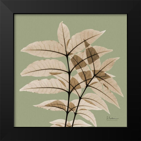 Tree Of Heaven Black Modern Wood Framed Art Print by Koetsier, Albert