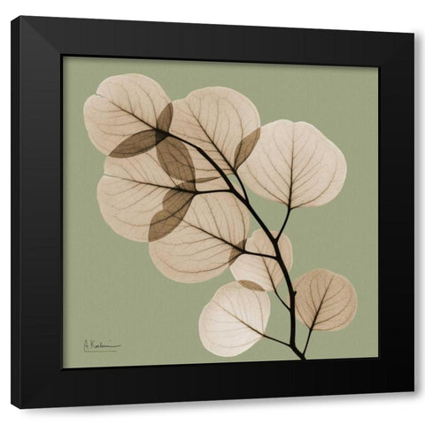 Eucalyptus Black Modern Wood Framed Art Print with Double Matting by Koetsier, Albert