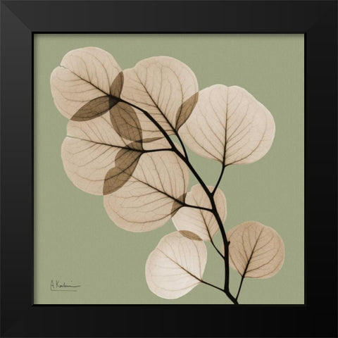 Eucalyptus Black Modern Wood Framed Art Print by Koetsier, Albert