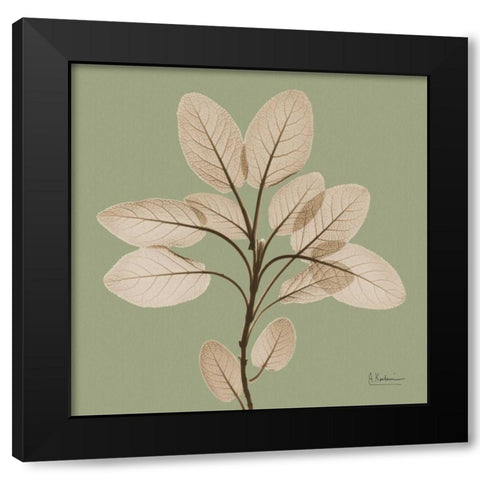 Berggarten Sage Black Modern Wood Framed Art Print with Double Matting by Koetsier, Albert