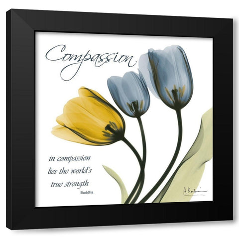 Tulips Compassion Black Modern Wood Framed Art Print with Double Matting by Koetsier, Albert