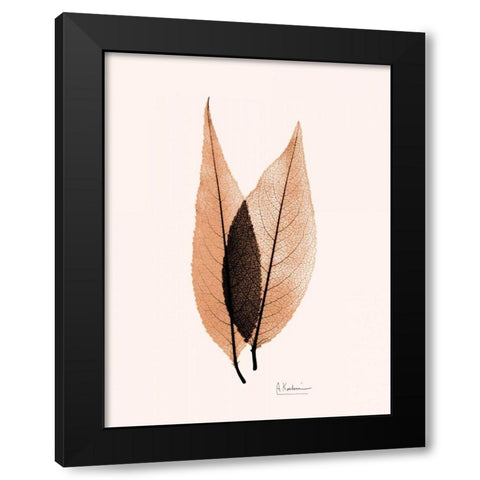 Caplulin Cherry Orange Black Modern Wood Framed Art Print with Double Matting by Koetsier, Albert