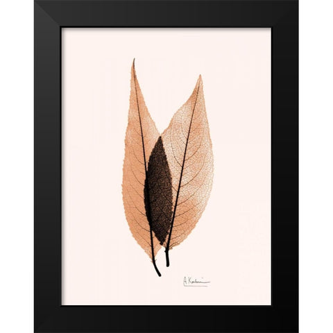 Caplulin Cherry Orange Black Modern Wood Framed Art Print by Koetsier, Albert