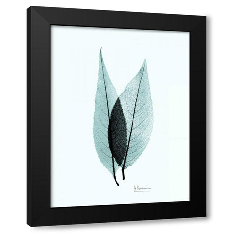 Caplulin Cherry Teal Black Modern Wood Framed Art Print with Double Matting by Koetsier, Albert