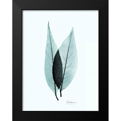 Caplulin Cherry Teal Black Modern Wood Framed Art Print by Koetsier, Albert