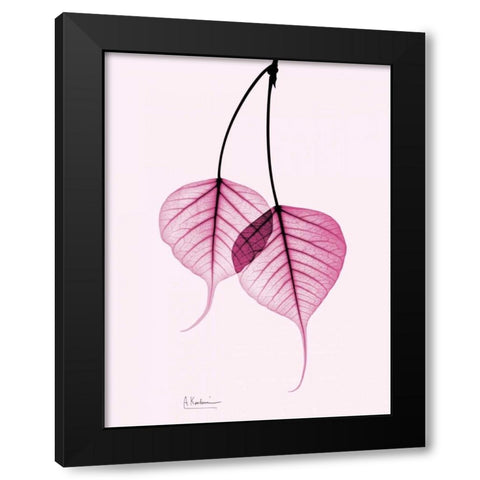 Bodhi Tree Pink Black Modern Wood Framed Art Print with Double Matting by Koetsier, Albert
