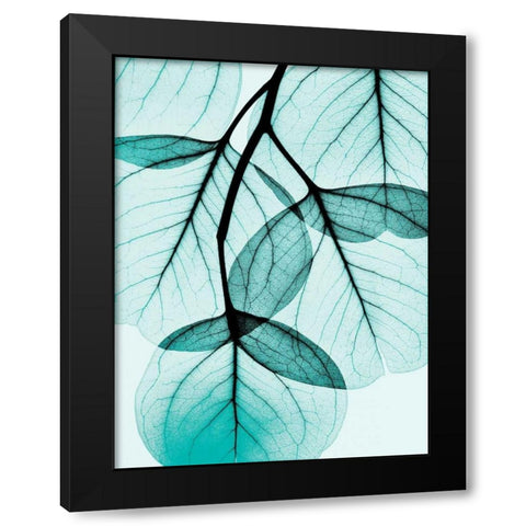 Teal Eucalyptus Black Modern Wood Framed Art Print by Koetsier, Albert