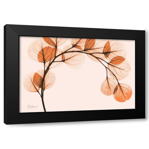 Orange Eucalyptus Black Modern Wood Framed Art Print by Koetsier, Albert