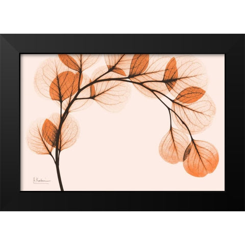 Orange Eucalyptus Black Modern Wood Framed Art Print by Koetsier, Albert