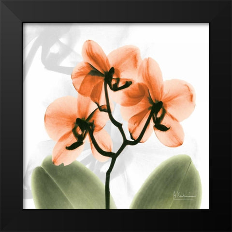 BW Orchid Orange Black Modern Wood Framed Art Print by Koetsier, Albert