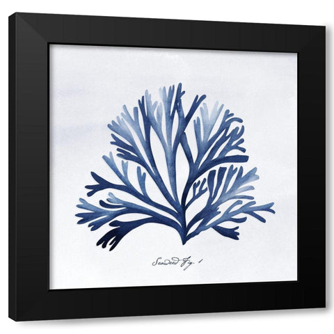 SeaweedFig1 Black Modern Wood Framed Art Print with Double Matting by Vidal, Alicia