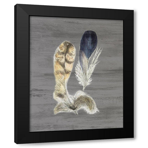 Feathers 3 Black Modern Wood Framed Art Print with Double Matting by Bailey, Ann