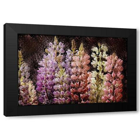 Summer Lupine Black Modern Wood Framed Art Print with Double Matting by Bailey, Ann
