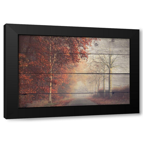 A Journey Black Modern Wood Framed Art Print by Bailey, Ann