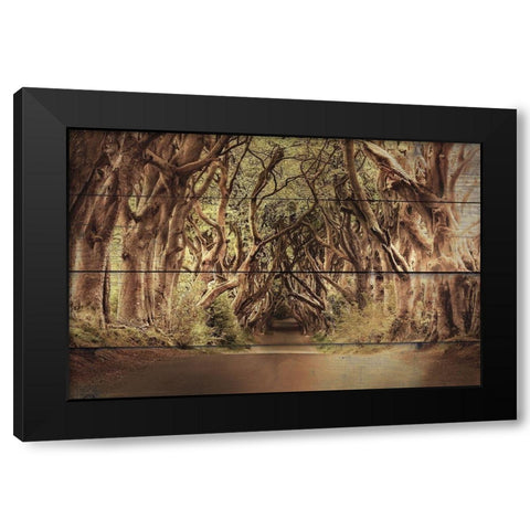 It Feels Good Black Modern Wood Framed Art Print by Bailey, Ann