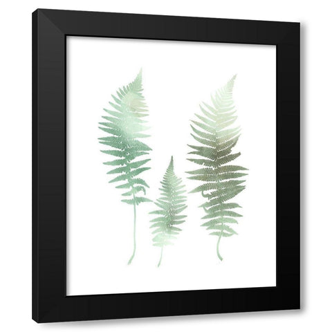 Watercolor Fern 1 Black Modern Wood Framed Art Print by Bailey, Ann
