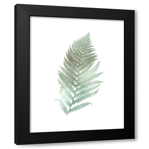 Watercolor Fern 2 Black Modern Wood Framed Art Print with Double Matting by Bailey, Ann