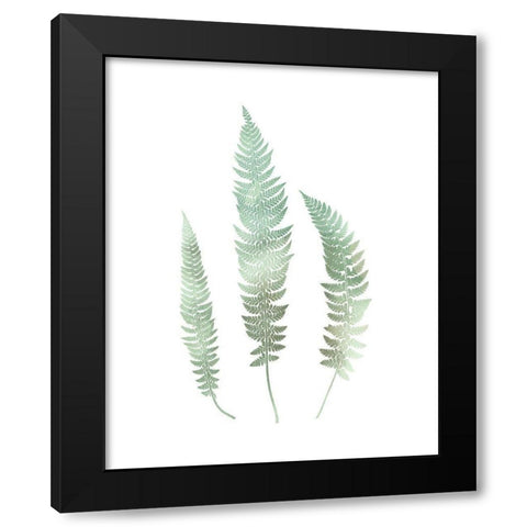 Watercolor Fern 3 Black Modern Wood Framed Art Print by Bailey, Ann