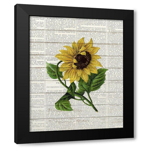Sunflower Print 1 Black Modern Wood Framed Art Print by Bailey, Ann