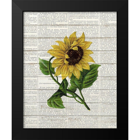 Sunflower Print 1 Black Modern Wood Framed Art Print by Bailey, Ann