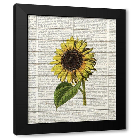 Sunflower Print 2 Black Modern Wood Framed Art Print with Double Matting by Bailey, Ann
