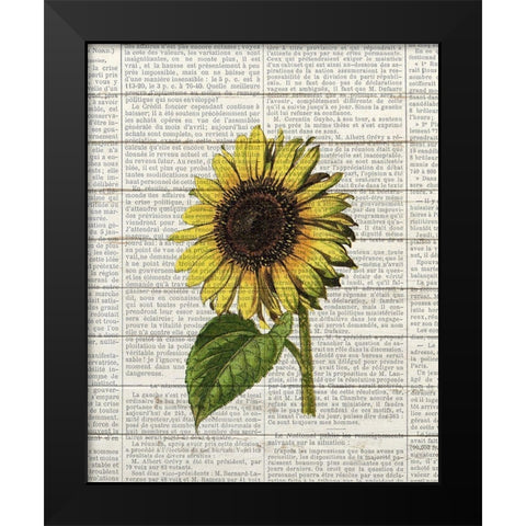 Sunflower Print 2 Black Modern Wood Framed Art Print by Bailey, Ann