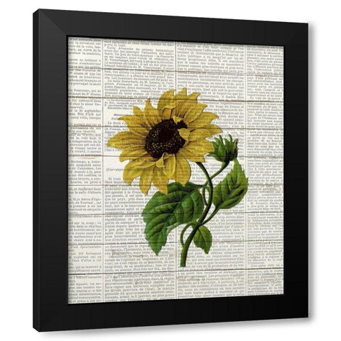 Sunflower Print 3 Black Modern Wood Framed Art Print with Double Matting by Bailey, Ann