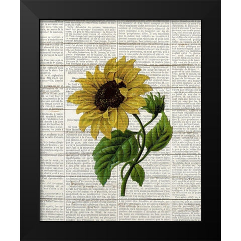 Sunflower Print 3 Black Modern Wood Framed Art Print by Bailey, Ann