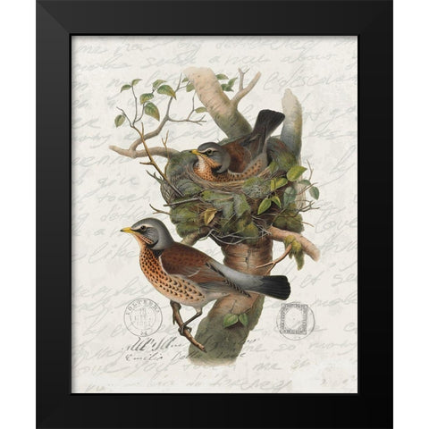 Nesting 1 Black Modern Wood Framed Art Print by Bailey, Ann