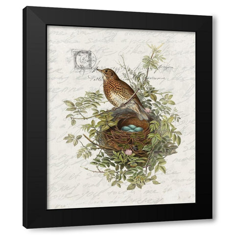 Nesting 2 Black Modern Wood Framed Art Print with Double Matting by Bailey, Ann