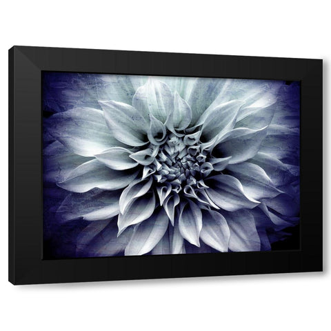 Amethyst Bloom Black Modern Wood Framed Art Print by Bailey, Ann