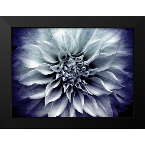 Amethyst Bloom Black Modern Wood Framed Art Print by Bailey, Ann