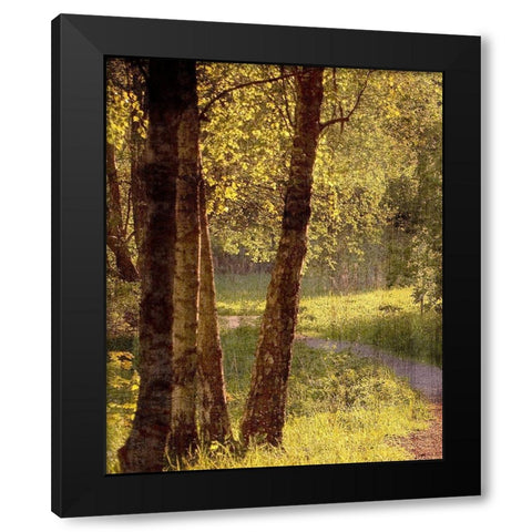 Sunlit Path 1 Black Modern Wood Framed Art Print with Double Matting by Bailey, Ann