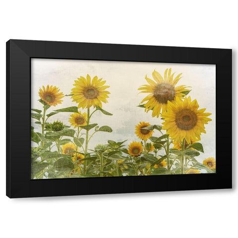 Sunny Mood Black Modern Wood Framed Art Print with Double Matting by Bailey, Ann