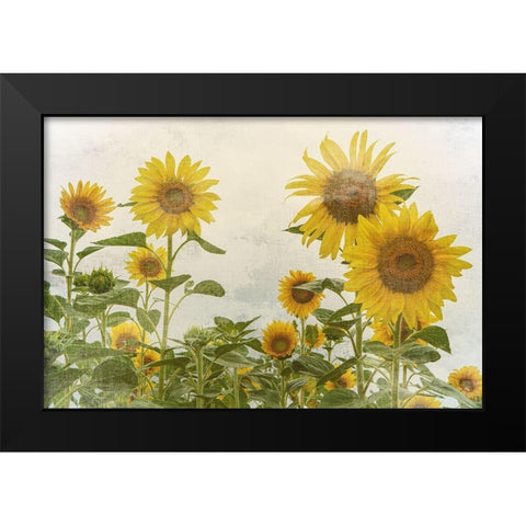 Sunny Mood Black Modern Wood Framed Art Print by Bailey, Ann