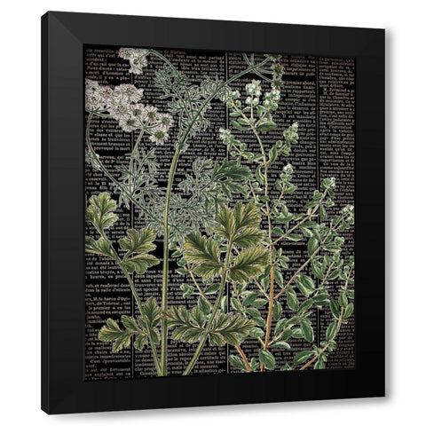 Botanical Newspaper 1 Black Modern Wood Framed Art Print by Bailey, Ann