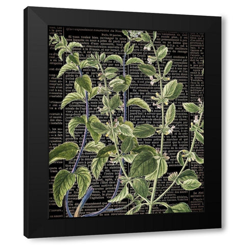 Botanical Newspaper 2 Black Modern Wood Framed Art Print by Bailey, Ann