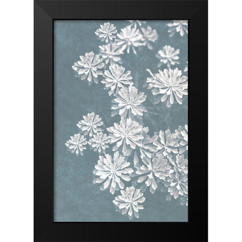 Blooms Falling 2_v2 Black Modern Wood Framed Art Print by Bailey, Ann