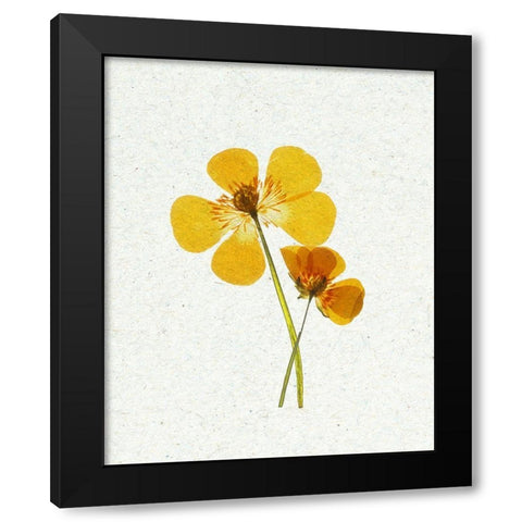 Little 1 Black Modern Wood Framed Art Print by Bailey, Ann