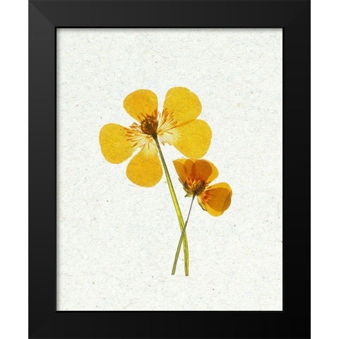 Little 1 Black Modern Wood Framed Art Print by Bailey, Ann