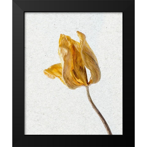 Pressed 1 Black Modern Wood Framed Art Print by Bailey, Ann