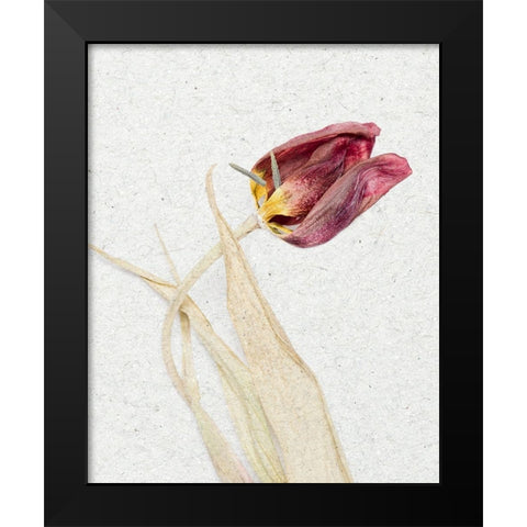 Pressed 2 Black Modern Wood Framed Art Print by Bailey, Ann