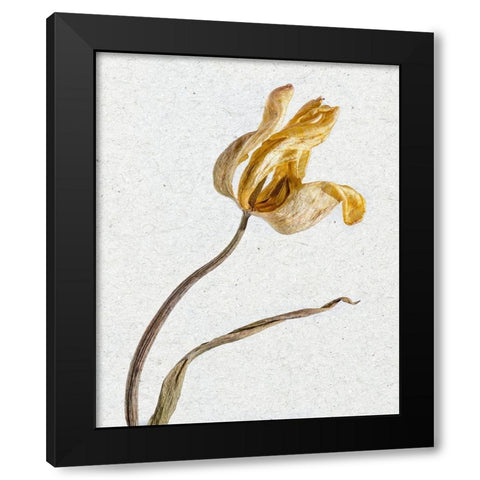 Pressed 3 Black Modern Wood Framed Art Print by Bailey, Ann