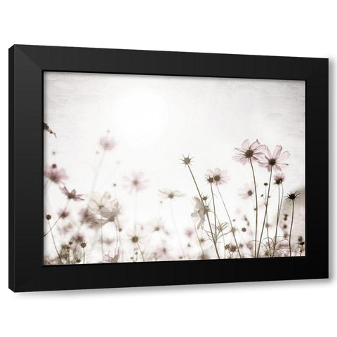 Soft Spring Black Modern Wood Framed Art Print by Bailey, Ann