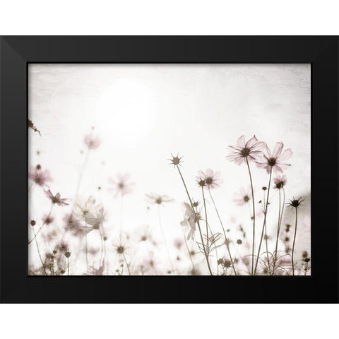 Soft Spring Black Modern Wood Framed Art Print by Bailey, Ann